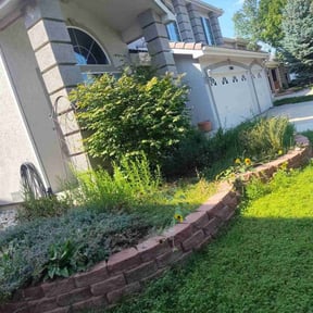 Flower Bed Weeding by 66landscaping LLC reviewed on November 21, 2025