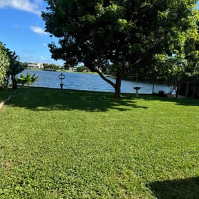 yard care by 5 Star Lawn Service LLC reviewed on December 18, 2025