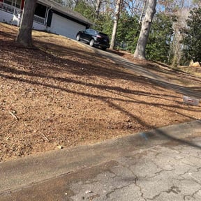 Leaf Removal by A Cut Above Lawn Care reviewed on November 26, 2025