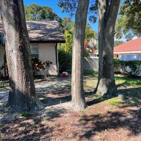 Leaf Removal by Joe&#039;s Tree &amp; Lawn Services reviewed on September 28, 2025