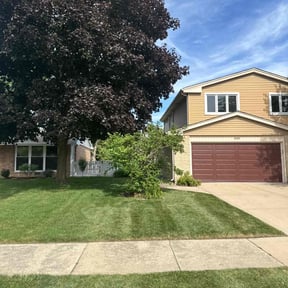 lawn care services by Fraire landscaping reviewed on August 24, 2024