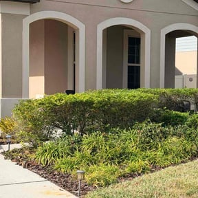 Bush Trimming by Millers lawn care reviewed on December 3, 2025