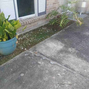Flower Bed Weeding by The Lawn Ranger reviewed on August 20, 2026