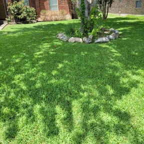 landscaping by Candanoza Lawn Service reviewed on October 1, 2024