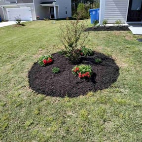 Mulching by N&r lawncare reviewed on August 16, 2025