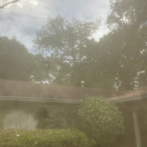 Bush Trimming by Andrews Landscaping reviewed on August 19, 2025