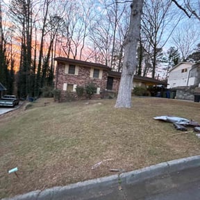 Leaf Removal by  reviewed on November 24, 2025