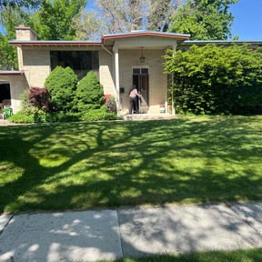 lawn maintenance by Shane Ray reviewed on August 14, 2025