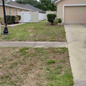 Bush Trimming by Kls Services reviewed on September 12, 2026