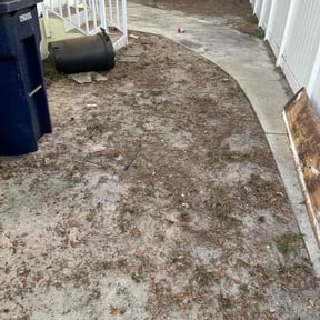 Leaf Removal by #1 And Done Lawn care reviewed on October 2, 2025