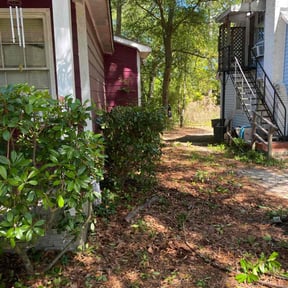Bush Trimming by Buckeye Lawn Care Management, LLC reviewed on August 16, 2025