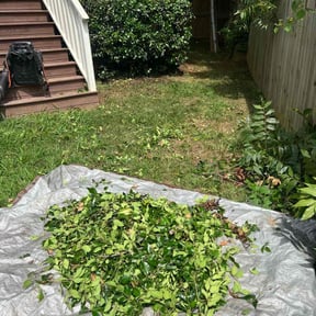Bush Trimming by M.C Lawn & Scapes reviewed on August 15, 2025