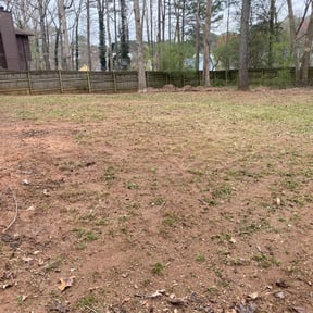 Leaf Removal by G&amp;M Grass Cutters reviewed on September 12, 2026