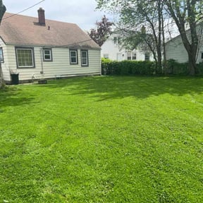landscaping services by WLQ Solutions reviewed on August 15, 2025