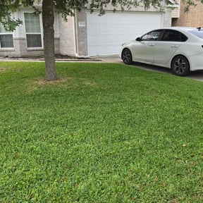 turf maintenance by Peoples Champ Lawn and Landscape reviewed on August 14, 2025
