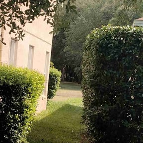 Bush Trimming by Mobile Lawns reviewed on August 20, 2025