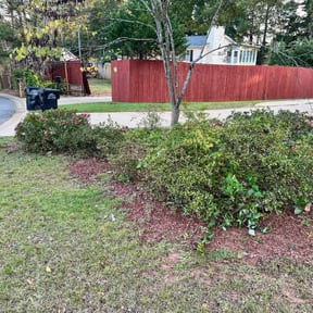 Bush Trimming by Tikitiki Garden Service reviewed on December 14, 2025