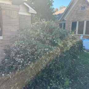 Bush Trimming by Get it Dunn with Paul Dunn reviewed on March 9, 2024