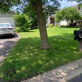 yard service by Brett's lawn service reviewed on November 23, 2025