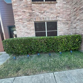 Bush Trimming by Jerry’s Lawn Care reviewed on November 21, 2025