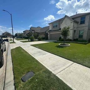 yard maintenance by Triple "s" services reviewed on August 16, 2025
