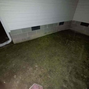 Leaf Removal by Hernández landscape reviewed on November 9, 2025