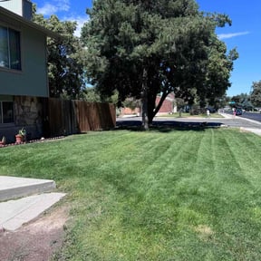 landscaping services by Grass Guardians reviewed on August 18, 2025