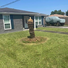 Bush Trimming by "The LawnMower Man" Lawn Care Service reviewed on November 22, 2025