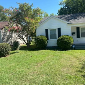Bush Trimming by Armstrong's Lawn Care Plus reviewed on August 15, 2025
