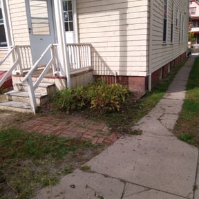 Flower Bed Weeding by Brushod Goodrum reviewed on August 15, 2025