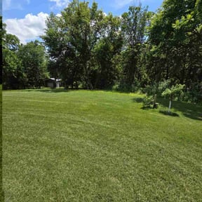 gardening service by BLACK HORSE reviewed on January 4, 2026