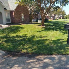 gardening service by Wiley lawn care reviewed on August 15, 2025