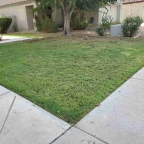 lawn care services by Trip reviewed on June 20, 2024