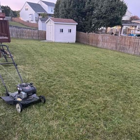 turf care by Sextons lawn Care Services reviewed on March 29, 2024
