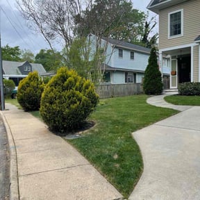 yard maintenance by FRL Landscaping reviewed on December 14, 2025