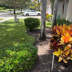 Flower Bed Weeding by Dunn it all while Dustin competition reviewed on September 16, 2026
