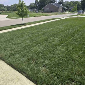 gardening service by Noble Services reviewed on November 27, 2025