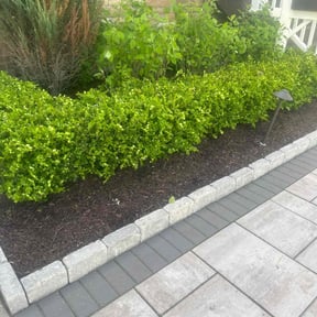 Mulching by Curtis Lawn Care LLC. reviewed on August 20, 2025
