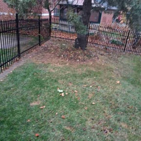 Leaf Removal by Northstar Lawn Care reviewed on June 9, 2026