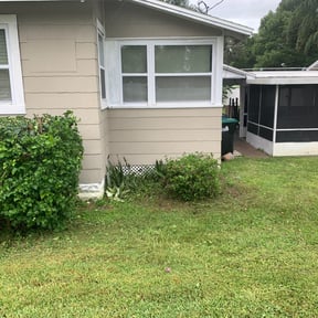 Bush Trimming by Alexander's Property Maintenance reviewed on August 18, 2025