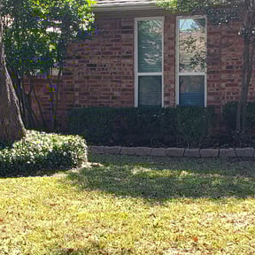 Bush Trimming by National preservation and REO services reviewed on April 17, 2023