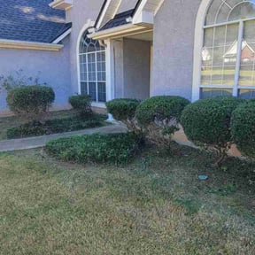 Bush Trimming by Thayer's Property Maintenance reviewed on August 15, 2025