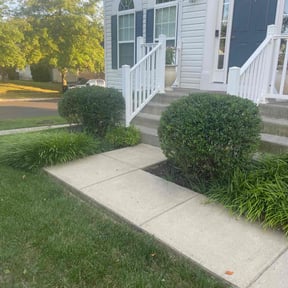 Bush Trimming by Benergy, LLC reviewed on August 20, 2025