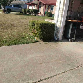 Bush Trimming by Get-R-Done reviewed on December 25, 2025