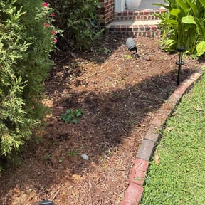 Flower Bed Weeding by Javan Lopez reviewed on November 9, 2025