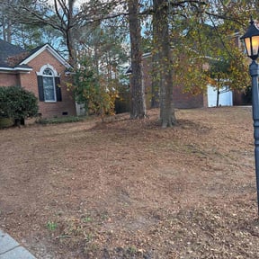 Leaf Removal by Harold Guzman's Landscaping reviewed on August 17, 2025