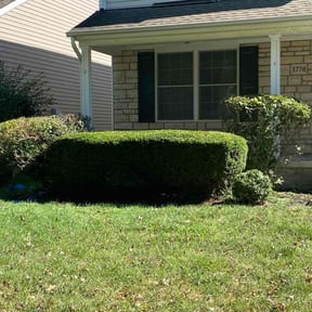 Bush Trimming by Davis Property Maintenance reviewed on October 19, 2025