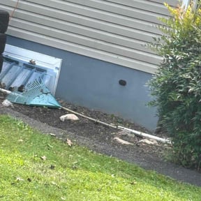 Flower Bed Weeding by Golden Lion's reviewed on December 3, 2025