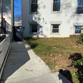 Leaf Removal by Skiptomylou reviewed on December 1, 2025