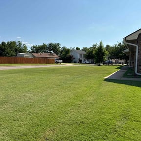 landscape maintenance by Greener Visions Inc reviewed on November 24, 2025